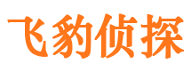 南京市私家侦探